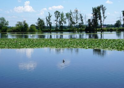 Schifffahrt Regensburg - Event- und Linienfahrten Klinger